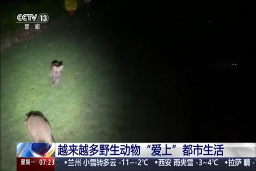 相关图片