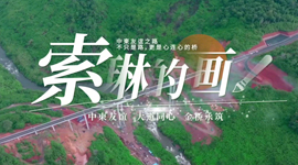 相关图片