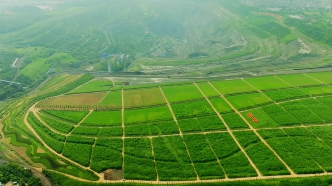 相关图片