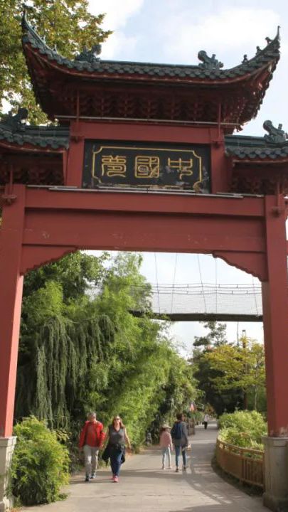 相关图片