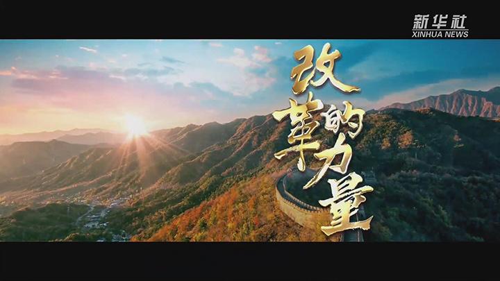 相关图片