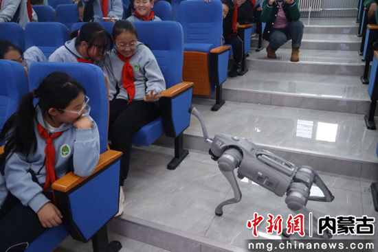 相关图片